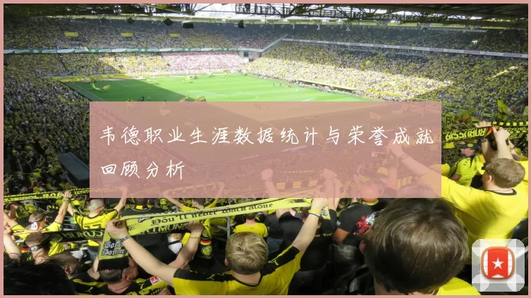 韦德职业生涯数据统计与荣誉成就回顾分析