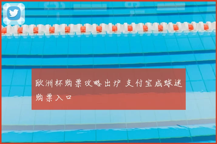欧洲杯购票攻略出炉 支付宝成球迷购票入口