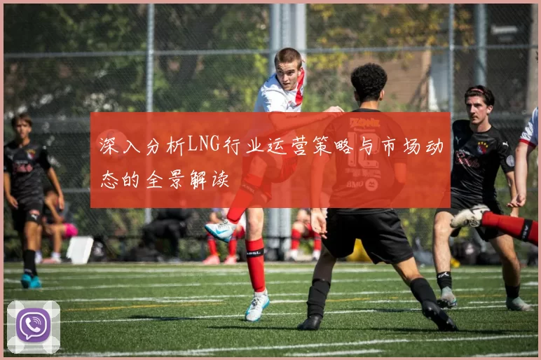 深入分析LNG行业运营策略与市场动态的全景解读