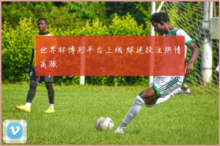 世界杯博彩平台上线 球迷投注热情高涨