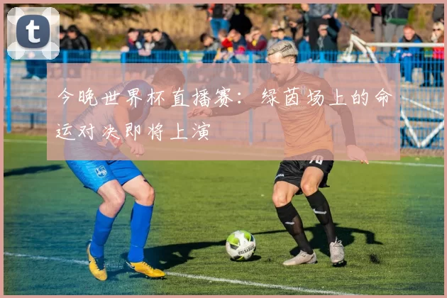 今晚世界杯直播赛:绿茵场上的命运对决即将上演