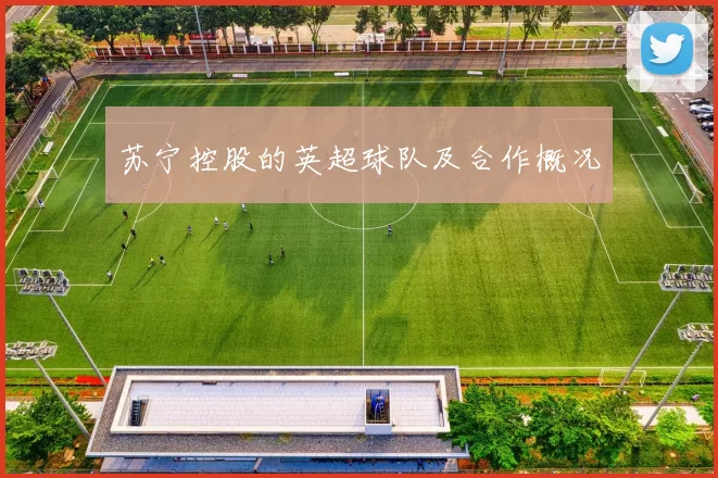 苏宁控股的英超球队及合作概况