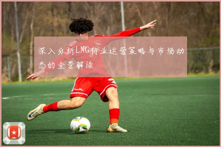 深入分析LNG行业运营策略与市场动态的全景解读