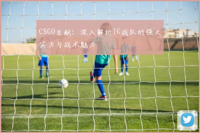 CSGO巨献：深入解析IG战队的强大实力与战术魅力
