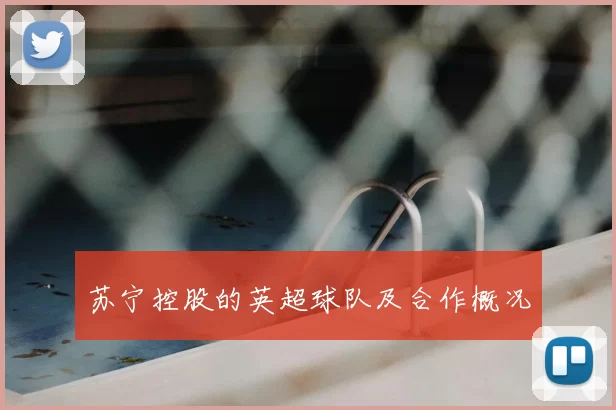 苏宁控股的英超球队及合作概况