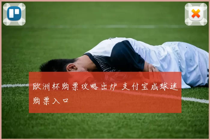 欧洲杯购票攻略出炉 支付宝成球迷购票入口