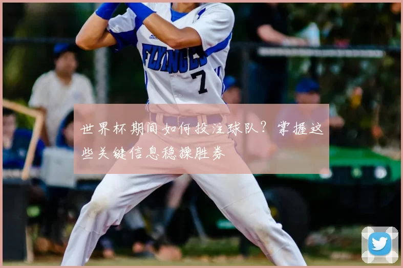 世界杯期间如何投注球队?掌握这些关键信息稳操胜券