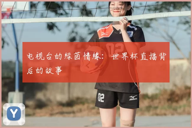 电视台的绿茵情缘：世界杯直播背后的故事