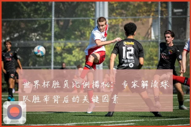 世界杯胜负比例揭秘：专家解读球队胜率背后的关键因素