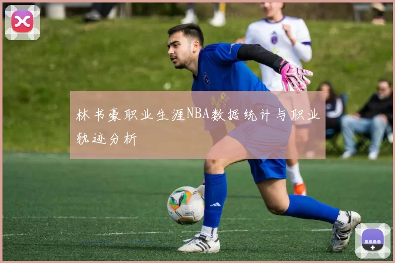 林书豪职业生涯NBA数据统计与职业轨迹分析