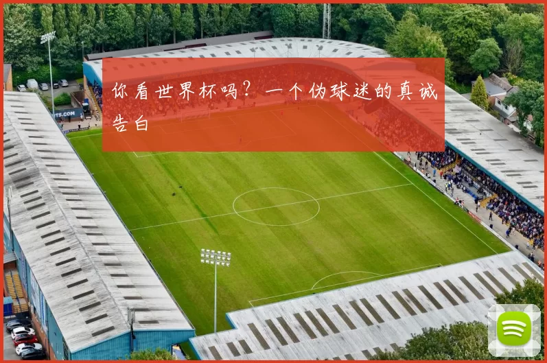 你看世界杯吗？一个伪球迷的真诚告白