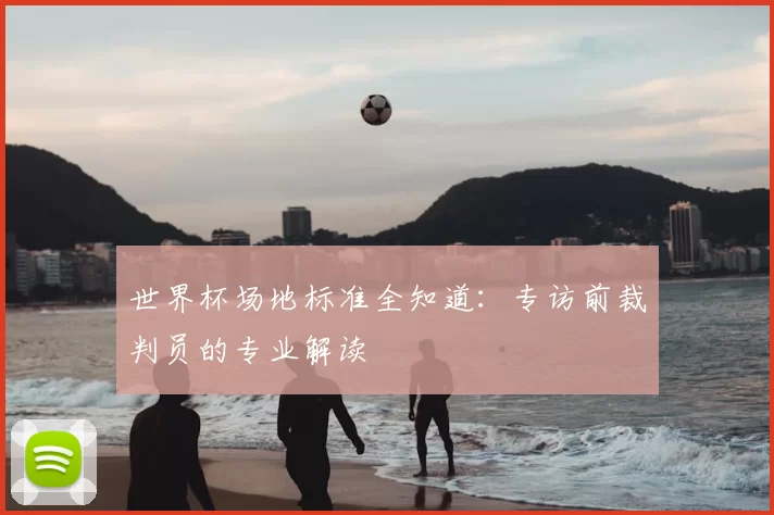 世界杯场地标准全知道：专访前裁判员的专业解读