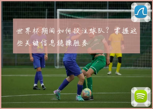 世界杯期间如何投注球队？掌握这些关键信息稳操胜券