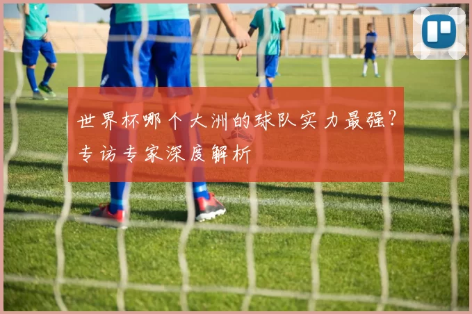 世界杯哪个大洲的球队实力最强？专访专家深度解析