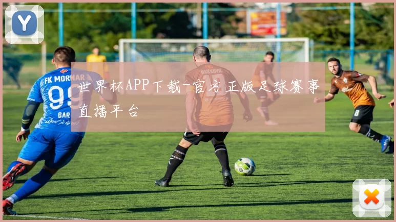 世界杯APP下载-官方正版足球赛事直播平台